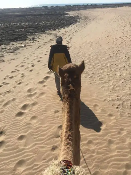 Balade à dos de chameau près de Marrakech