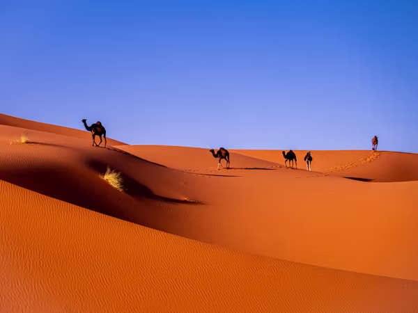 Désert de Merzouga et dunes de l'Erg Chebbi