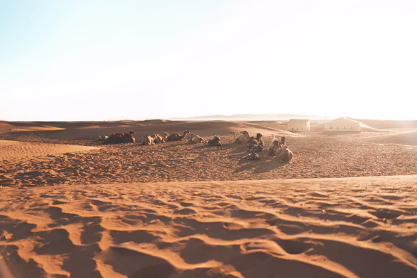 Désert de Zagora, nuit sous les étoiles